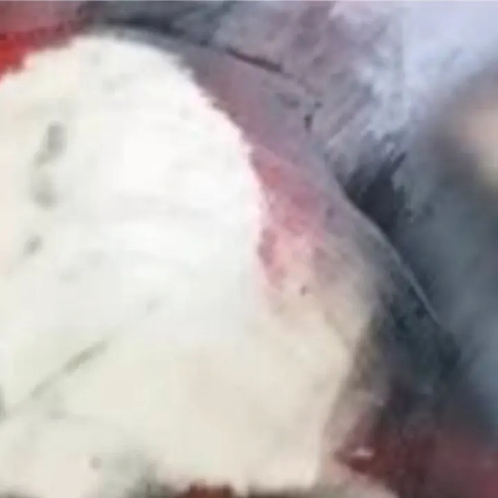 REMOVER – Gelvormig oplosmiddel tegen graffiti